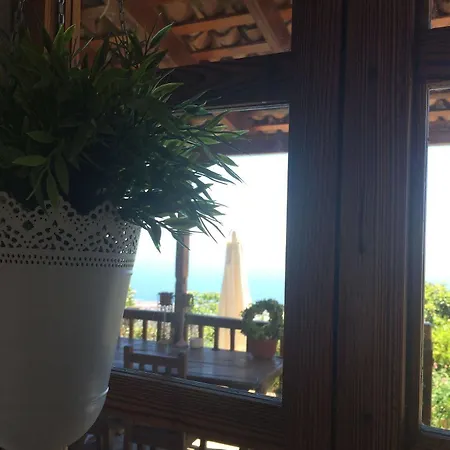 Tajona & Granero Gospodarstwo wiejskie